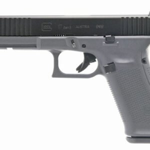 Glock 17 Gen5 9 mm Gray PA175S201GF