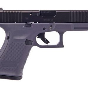 Glock 19 Gen5 9 mm Gray PA195S201MOSGF