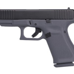 Glock 19 Gen5 9 mm Gray PA195S201GF